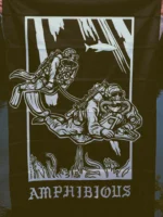 Amphibious - Image 2